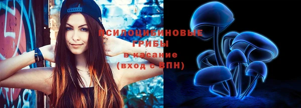 крисы Вязьма