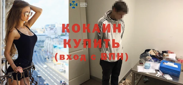 крисы Вязьма