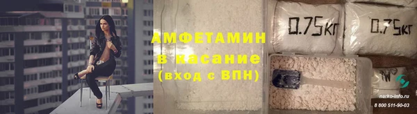 крисы Вязьма