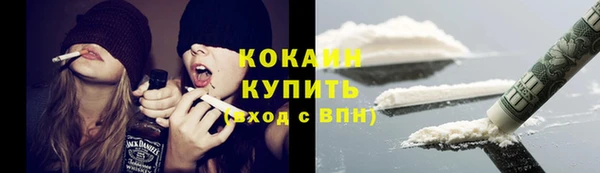 крисы Вязьма