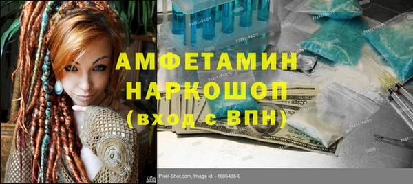 крисы Вязьма