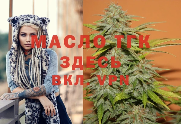 крисы Вязьма