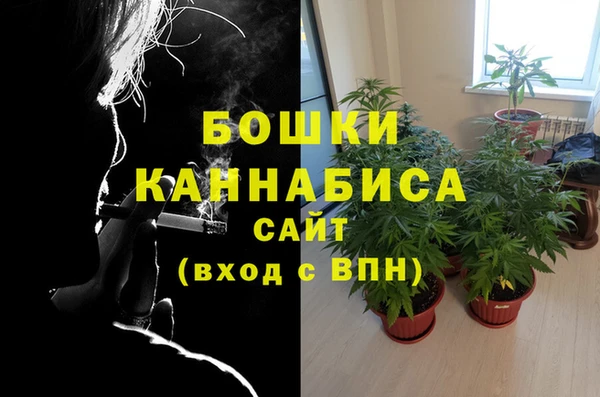 крисы Вязьма