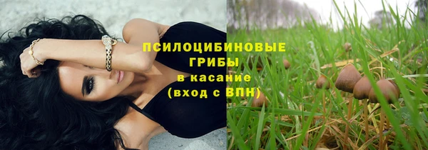 мет Вяземский