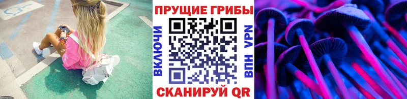 купить закладку Лукоянов Галлюциногенные грибы Magic Shrooms